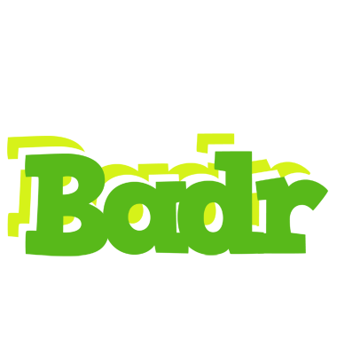 Badr picnic logo