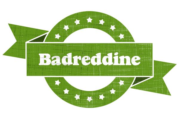Badreddine natural logo