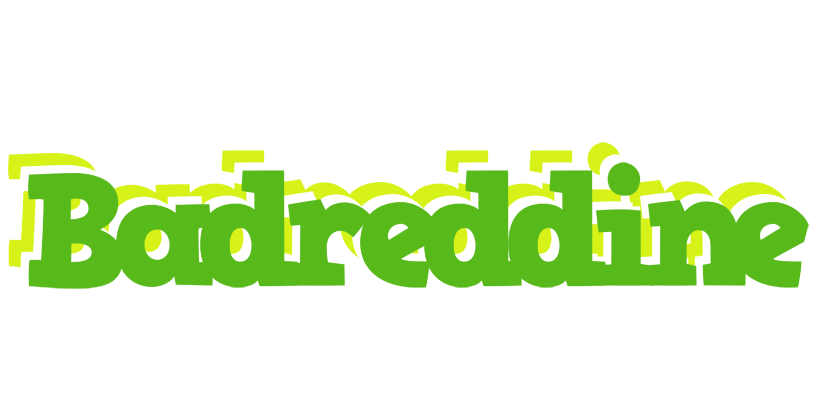Badreddine picnic logo