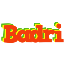 Badri bbq logo