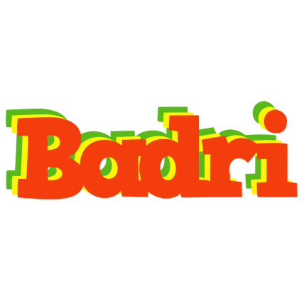 Badri bbq logo