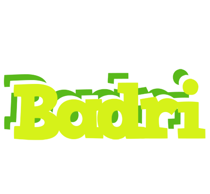 Badri citrus logo