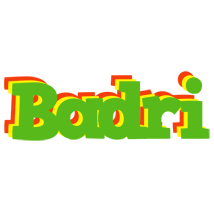 Badri crocodile logo