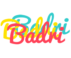 Badri disco logo