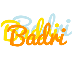 Badri energy logo