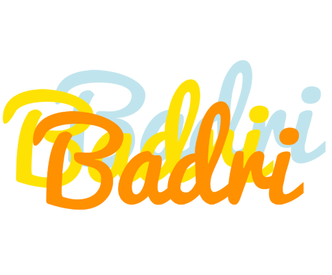Badri energy logo