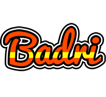 Badri madrid logo