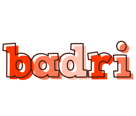 Badri paint logo