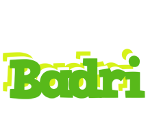 Badri picnic logo