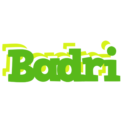 Badri picnic logo