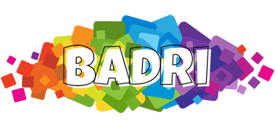 Badri pixels logo