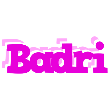 Badri rumba logo
