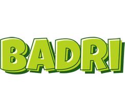 Badri summer logo