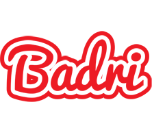 Badri sunshine logo