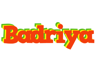 Badriya bbq logo