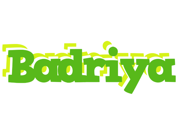 Badriya picnic logo