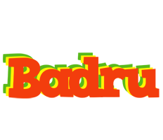 Badru bbq logo