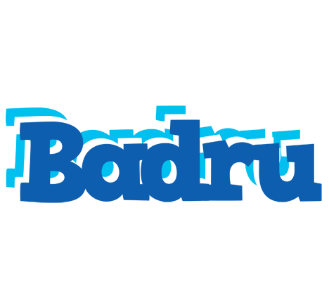 Badru business logo