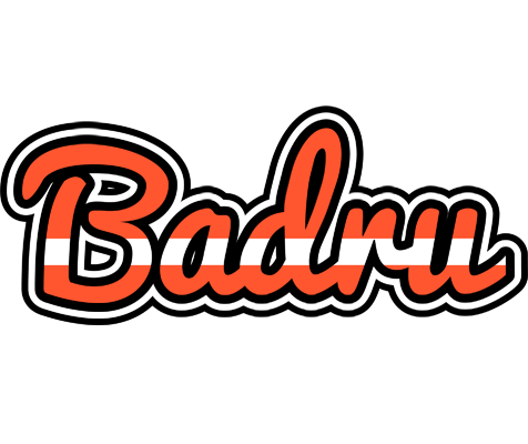 Badru denmark logo