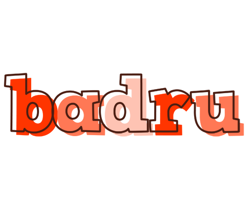 Badru paint logo