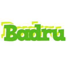 Badru picnic logo