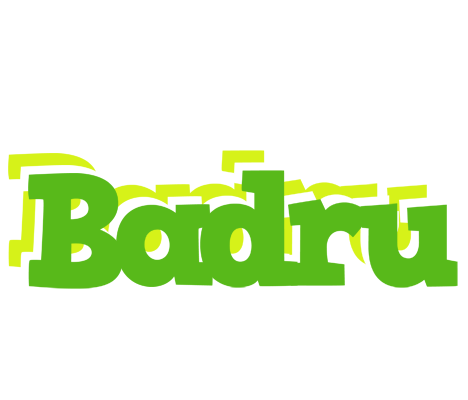 Badru picnic logo
