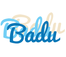 Badu breeze logo