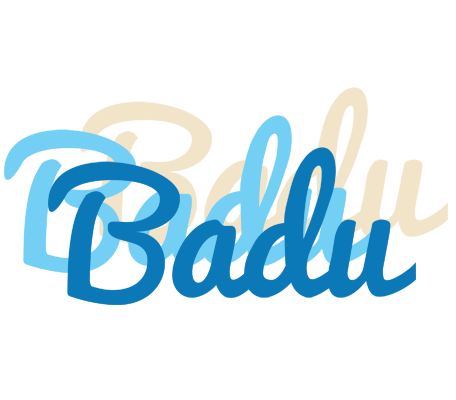 Badu breeze logo