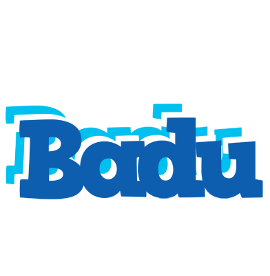 Badu business logo