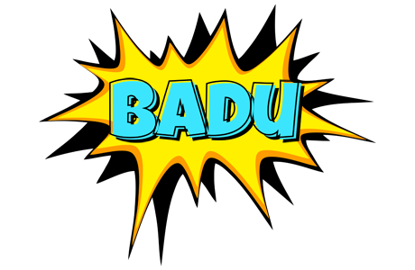 Badu indycar logo