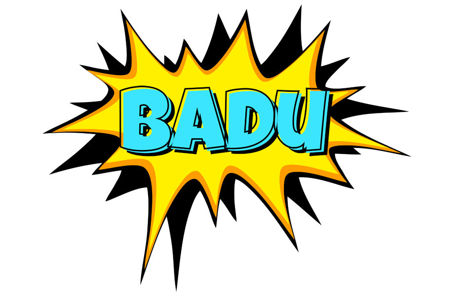 Badu indycar logo