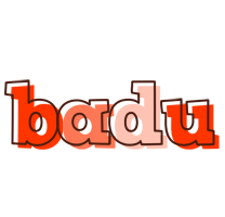 Badu paint logo