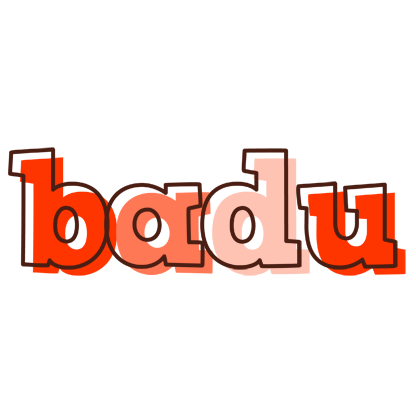 Badu paint logo