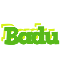 Badu picnic logo