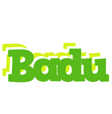 Badu picnic logo