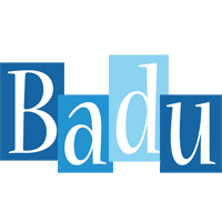 Badu winter logo