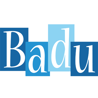 Badu winter logo