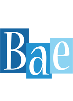 Bae winter logo