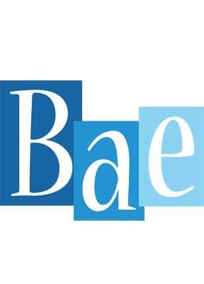 Bae winter logo