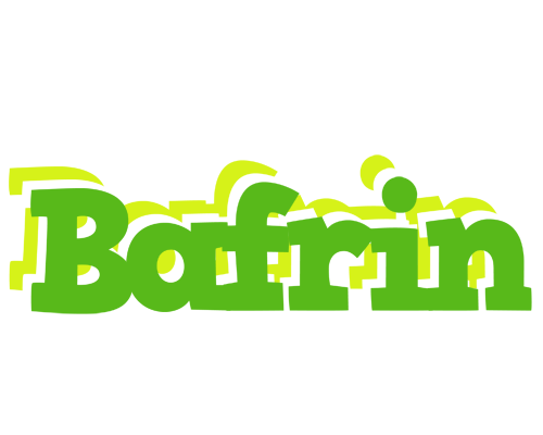 Bafrin picnic logo