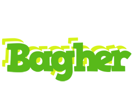 Bagher picnic logo