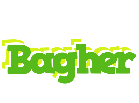 Bagher picnic logo