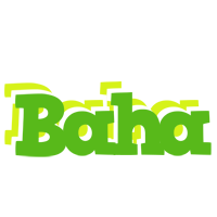 Baha picnic logo