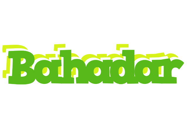 Bahadar picnic logo