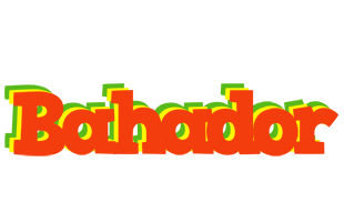 Bahador bbq logo