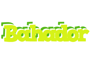 Bahador citrus logo