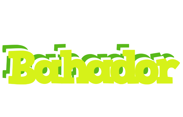 Bahador citrus logo