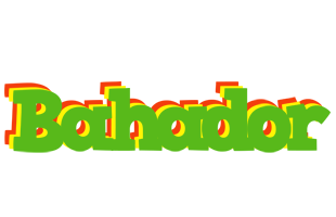 Bahador crocodile logo