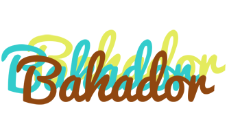 Bahador cupcake logo