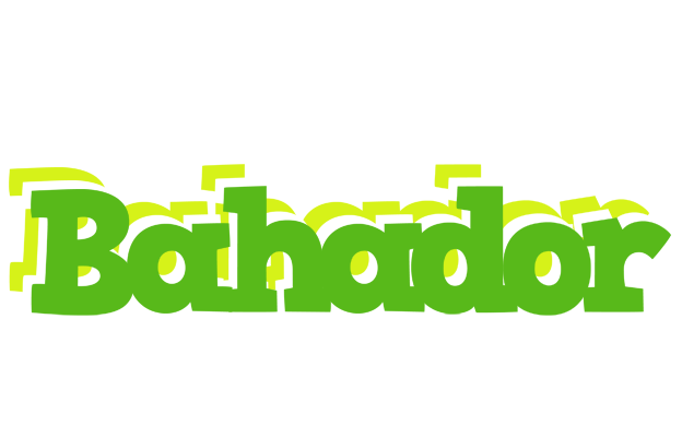 Bahador picnic logo